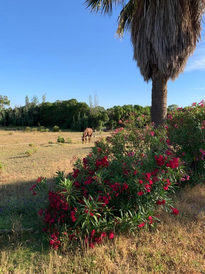 Finca Dos Vientos Tarifa Exteriör bild